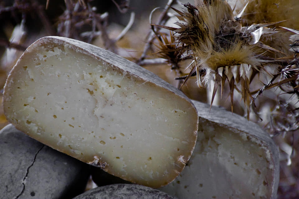 Pecorino delle Balze Volterrane, storia e curiosità di un grande formaggio DOP
