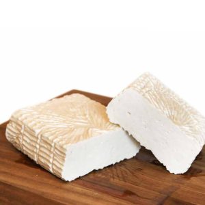 baccelone